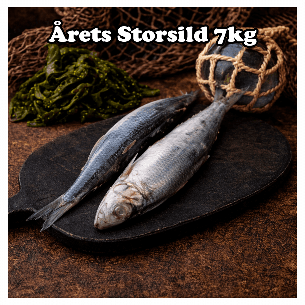Storsild