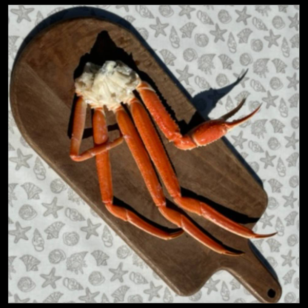 Snøkrabbe